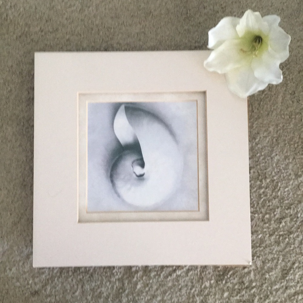 2/$15🦋 12 x 12 shell bordered print.